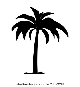palm tree silhouette on a white background, vector illustration