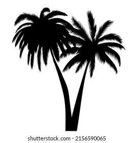 palm tree silhouette, on white background, isolated, vector