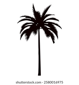 palm tree silhouette on white background vector