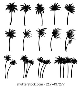 Palm tree silhouette set collection vector illustration for your company or brand