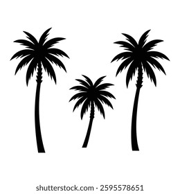 Palm Tree Silhouette Set. Tropical Beach Vector Illustration