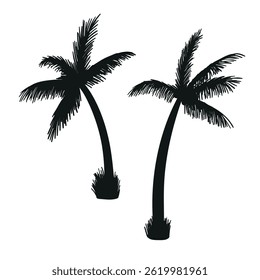 Palm tree silhouette set. Tropical botanical vector illustration. Summer vacation and travel, design template. Relax and recreation on a seashore, beach illustration