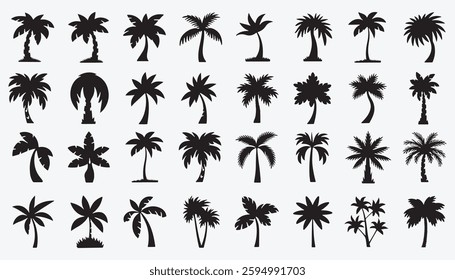 palm tree silhouette set, and a variety of palm tree illustrations in different poses and styles.black silhouette palm tree collection – 20 tropical tree designs	