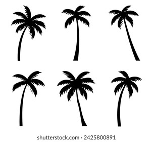 Palm tree silhouette. palm trees set. Vector