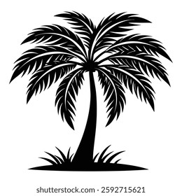 Palm Tree Silhouette, Tropical Plant Illustration for Design Projects"