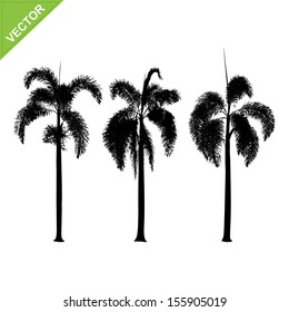Palm tree silhouette vector
