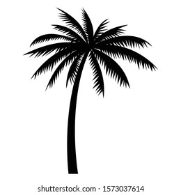 Hand Drawn Coconut Tree Vector Isolated Stock Vector (Royalty Free ...