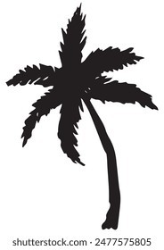 A palm tree silhouette in vector format.