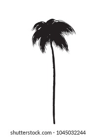 palm tree silhouette. Vector Icon, logo