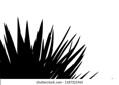 Palm tree silhouette vector illustration.