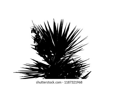 Palm tree silhouette vector illustration.