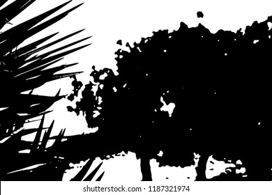 Palm tree silhouette vector illustration.