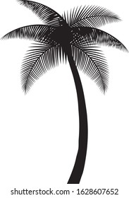 palm tree silhouette vector illustration