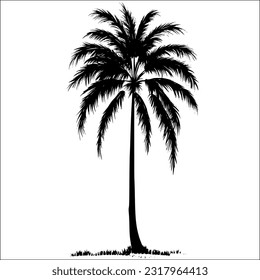 Palm Tree Silhouette Vector Illustration