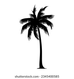 Palm tree silhouette. Vector illustration