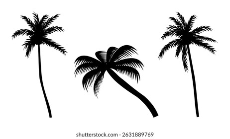 Palm tree silhouette vector illustration isolated on white background. palm tree silhouettes