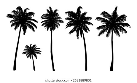 Palm tree silhouette vector illustration isolated on white background. palm tree silhouettes