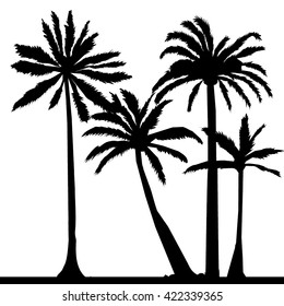 palm tree silhouette - vector illustration