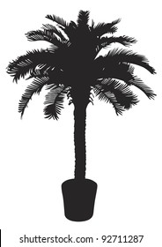 Palm tree silhouette. Vector illustration