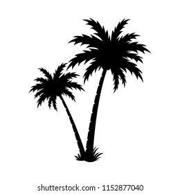 Palm tree silhouette vector image.