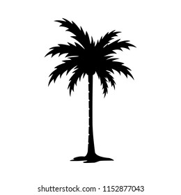 Palm tree silhouette vector image.