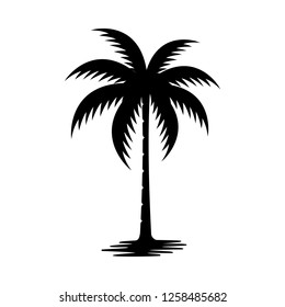 Palm tree silhouette vector image.