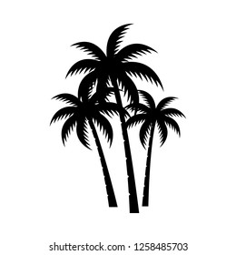 Palm tree silhouette vector image.