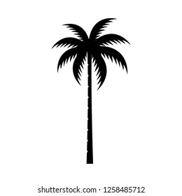 Palm tree silhouette vector image.