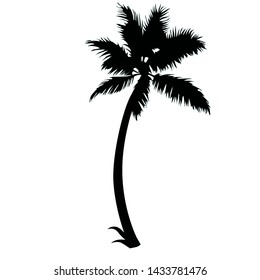 palm tree silhouette vector isolated on white background