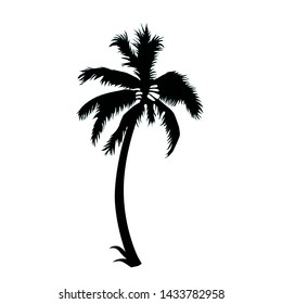 palm tree silhouette vector isolated on white background