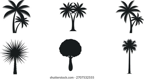 Palm tree silhouette vector set, tropical forest black icons, exotic plant shapes, nature clipart bundle, isolated trees for stock illustration