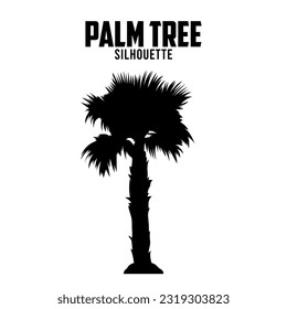 Palm Tree Silhouette vector stock illustration 