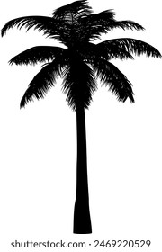 Silueta de palmera. Vector. trópico  