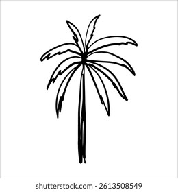 Palm Tree Silhouette Vector Tropical Beach and Nature Illustration