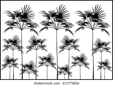 Palm Tree Silhouettes black and white