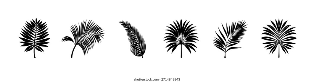 Siluetas de la palmera con los tocones de encargo, red de la silueta de la hoja de la palmera en el fondo blanco, Ilustración vectorial.