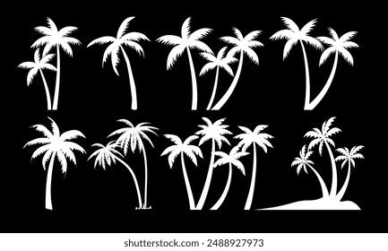 Palm Tree Silhouettes Graphic Image of White Palms on Black Background. Elegant Black and White Leaf Design, Perfect for Summer Logo Templates. Vector Illustration.