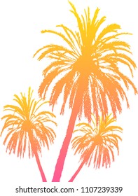 Palm tree silhouettes isolated on white