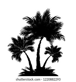 Palm tree silhouettes – for stock vector