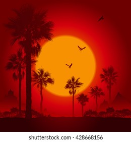 Palm tree silhouettes at sunset
