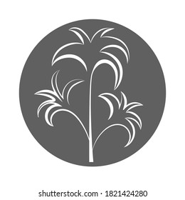 Palmbaumsilhouetten. Vektorsymbol oder -logo