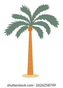 Palm tree simple flat design element isolated on transparent background. Summer beach vacation