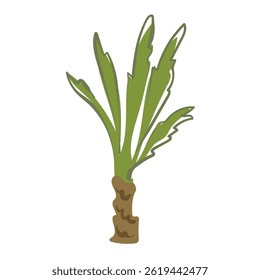 Palm tree in simple style. Tropical, beach tree for jungle decoration, bounty coast, children's illustration. Vector image in flat, progressive style for summer sticker.