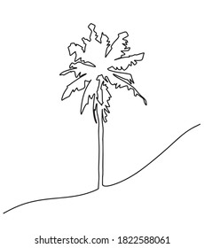 palm tree single line drawing. One line tree art for tattoo or logo. single line drawing of an isolated vector object - palm, coconut tree. sketch drawing of a coconut tree. one line art