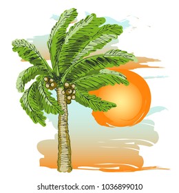 Palm tree sketch, sunset on the beach.
