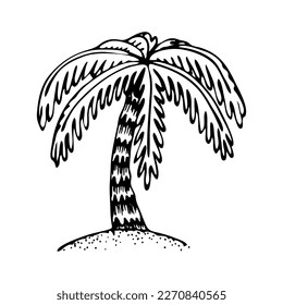 Palm tree sketch. Tropical beach tree. Southern plant with large leaves. Hand drawn vector line art illustration.