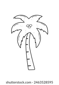 Bosquejo de palmera. Ilustración vectorial de estilo doodle, planta tropical. Aislado en blanco.