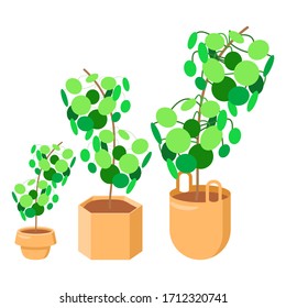Pegatina de árbol de palma puesta sobre fondo blanco aislado. Planta de casa para tarjeta de regalo, logo de la tienda de plantas domésticas, baldosas de baño, página web de aterrizaje. Maleta telefónica o arte de impresión de tela. Ilustración vectorial de estilo plano