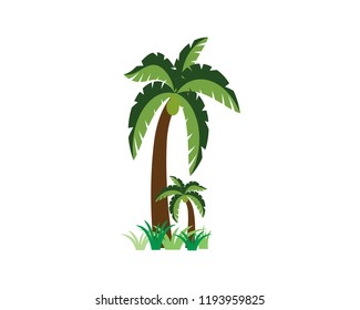 Palm tree summer logo template vector illustration