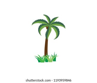 Palm tree summer logo template vector illustration